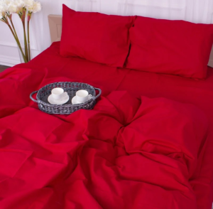 Бязь постільна білизна євро 4134e